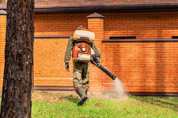 Trusted Cockroach Control service in East Stroudsburg, PA - Nex Pest Control
